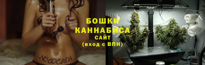 Бошки марихуана THC 21%  как найти   MEGA   Камень-на-Оби 